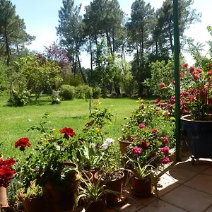 domaine-du-planas-patio.hotels-rhonealpes.com/